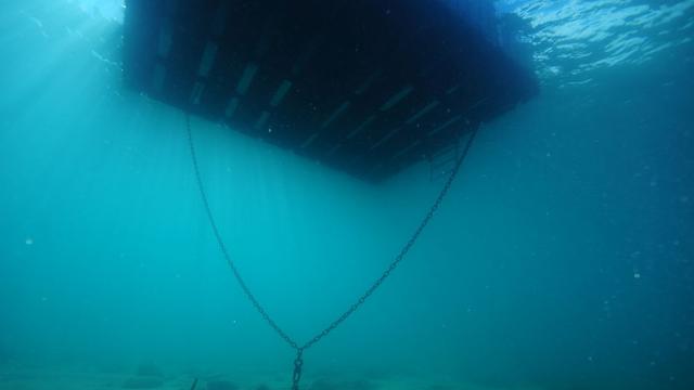 Водолаз случайно откри потъналото пристанище на древен град край Турция 