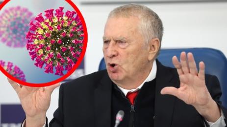 жириновски корона