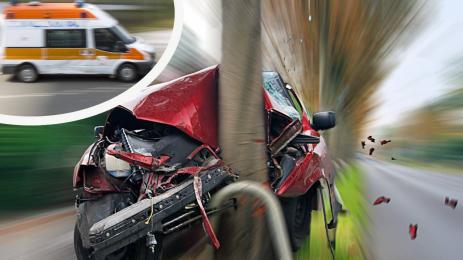 катастрофа дърво