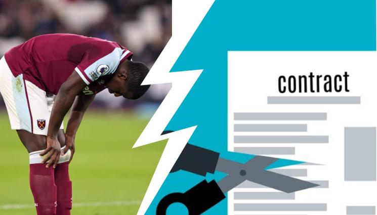 Зума - Заради ритащия котки французин Кърт Зума американска туристическа организация спира да налива пари в отбора му Уест Хем Юнайтед