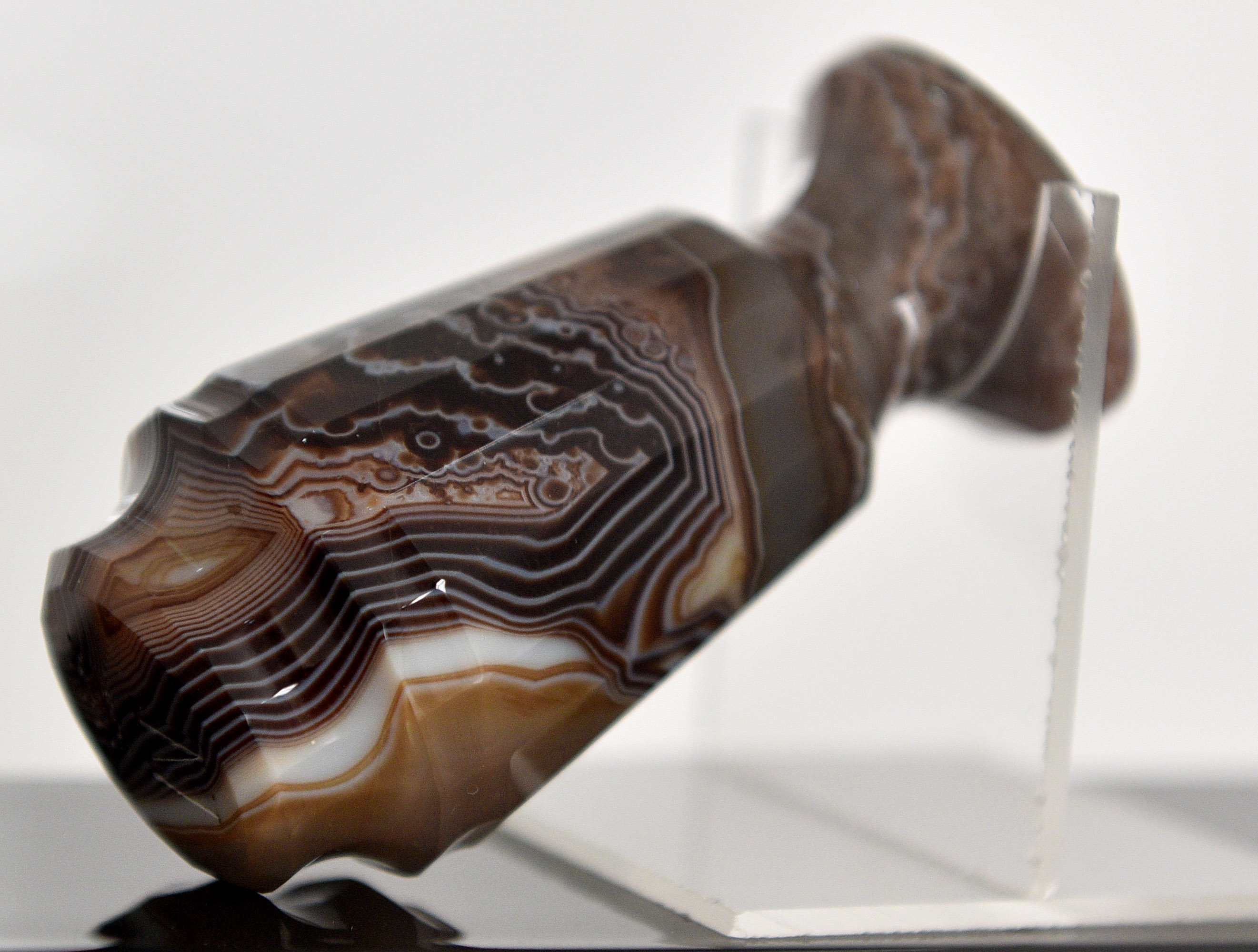 граф Игнатиев