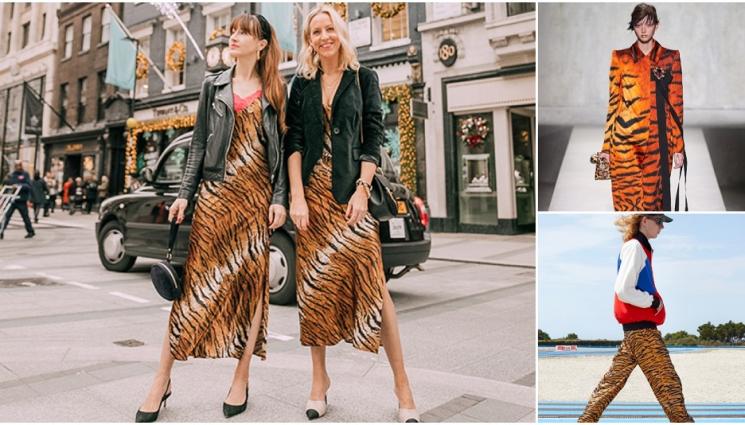 аа - УИКЕНД: Сред елита и на улицата -Тигърът се завръща, стилът отново е в лапите на великолепната котка