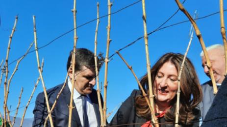 Херо Мустафа Струмяни