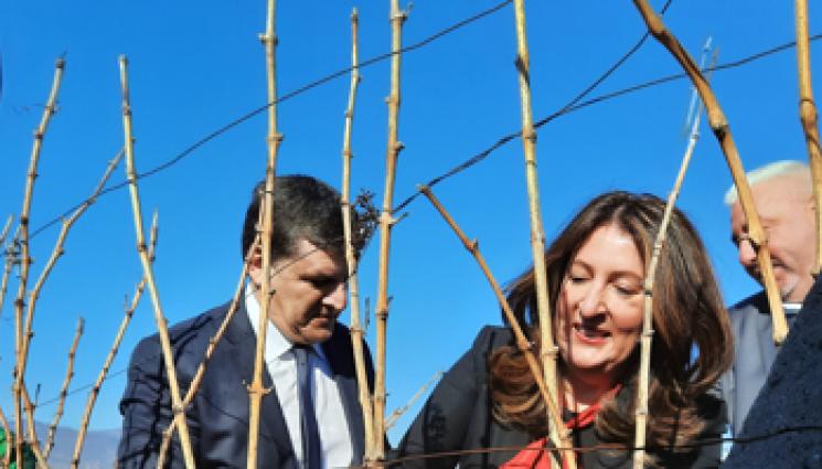 Херо Мустафа Струмяни - Херо Мустафа заряза лозята в Струмяни, на форум обсъждат ГКПП-Клепало