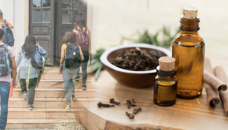 Ученици билки - Хомеопатия и билки влизат в гимназията