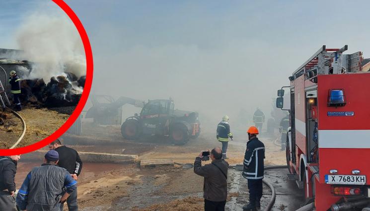 пожар кравеферма - ОГНЕН АД: Мощен пожар бушува в кравеферма в хасковско село (СНИМКИ)