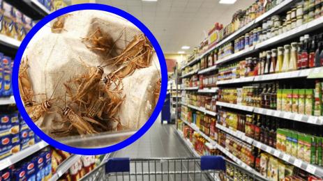 щурци магазин