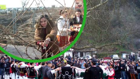 празненства Трифон Зарезан