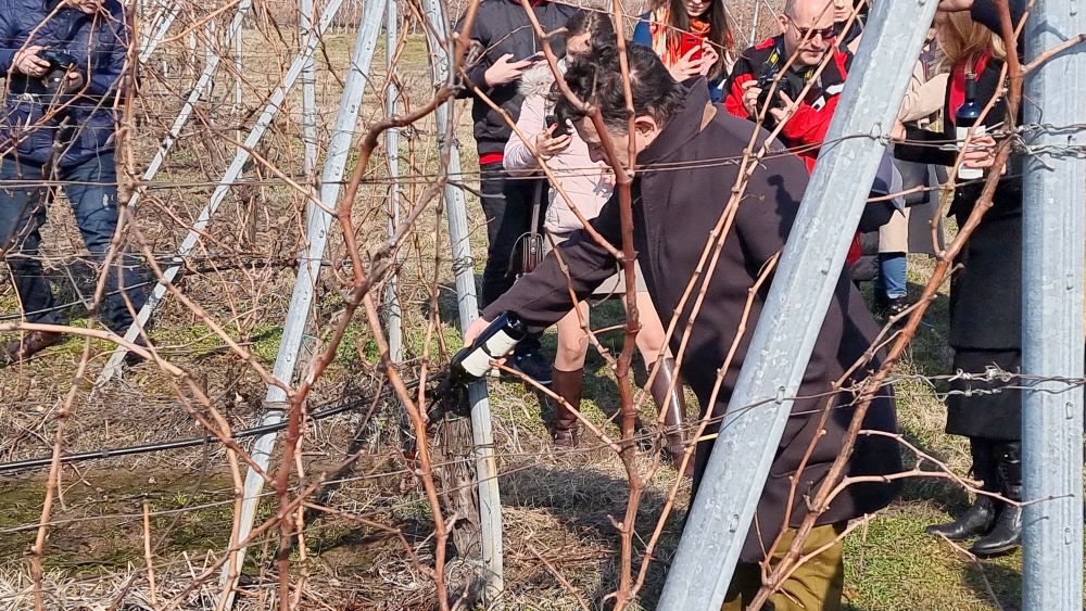 Ритуално зарязване на лозята в землището на новозагорското село Еленово