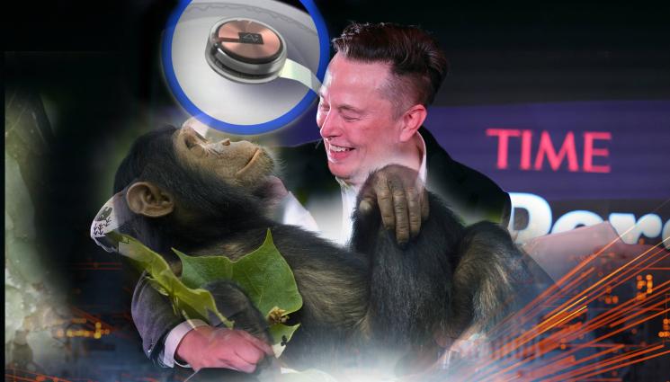 Илон Мъск - Повече от половината от чипираните маймуни на Илон Мъск издъхнали в адски мъки. Ще се приложи ли технологията върху хора тази година, както пророкува милиардерът?
