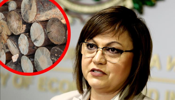 корнелия нинова дърва - Нинова с добра новина: Дървата за огрев поевтиняват