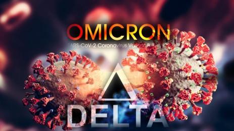 Омикрон Делта