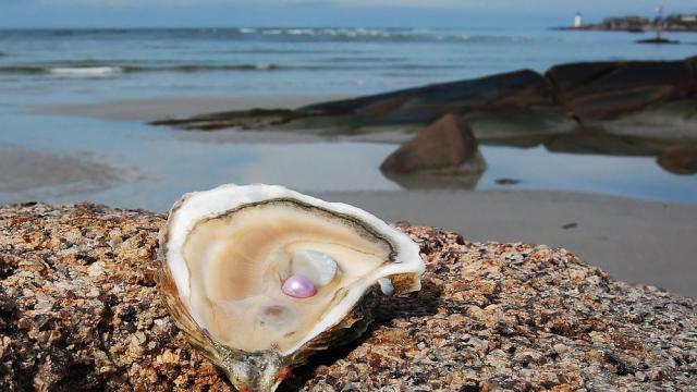 Бахрейн възражда производството на естествени перли