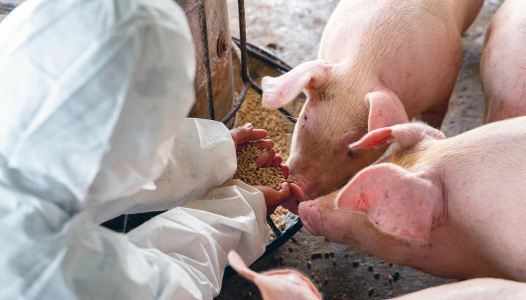 Биоритъм - БИОРИТЪМ: Медици с писмо за ускоряване на дигитализацията