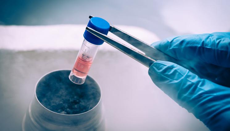 Биоритъм - БИОРИТЪМ: Излекуваха жена от ХИВ със стволови клетки