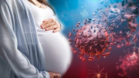 бременна коронавирус