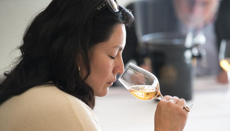 Агро - Агро Телеграф: Френско вето върху вина от Северна Македония