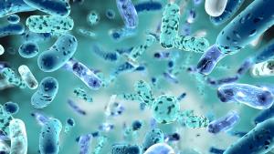 Биотехнолози са синтезирали нов щам на клостридиум бактерии които могат