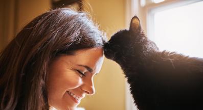 котка ближе собственик