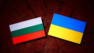 Българският президент Румен Радев заяви че страната му може да