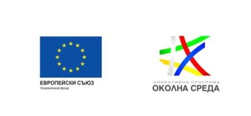 Басейнова дирекция