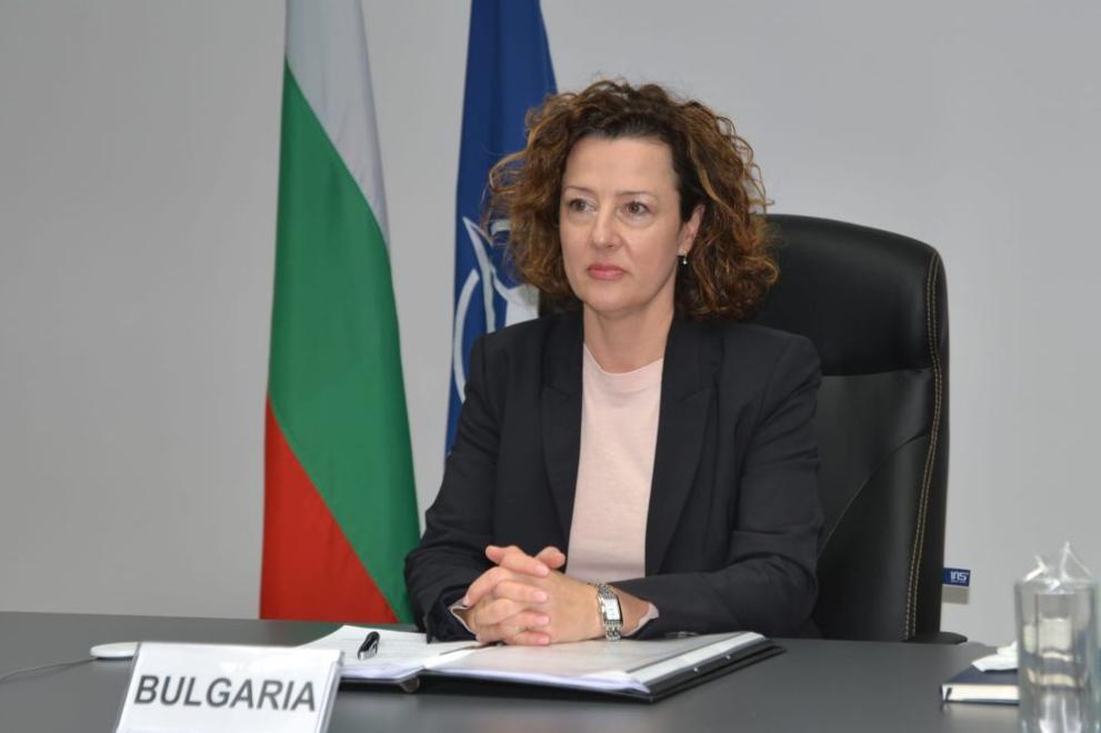 Заместник-министърът на МВнР Ирена Димитрова с подробности за ситуацията в
