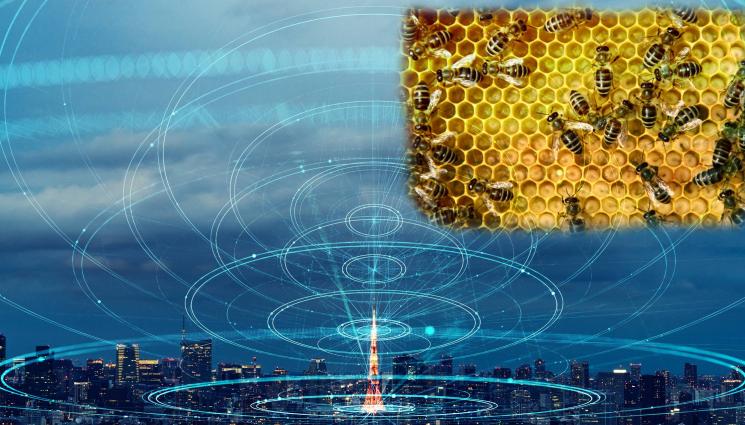 пчели - Радиовълни убиват пчелите на остров Уайт