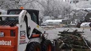 Работници от ОП Паркстрой започнаха отстраняването на паднало от мокрия сняг