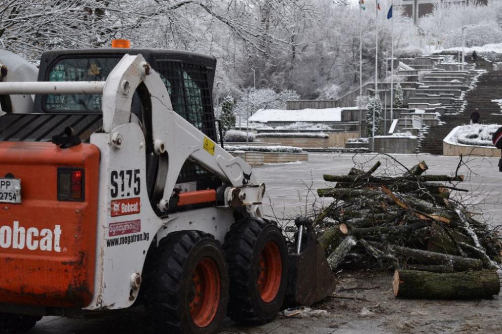 Работници от ОП“Паркстрой“ започнаха отстраняването на паднало от мокрия сняг