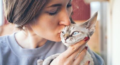 собственик и котка