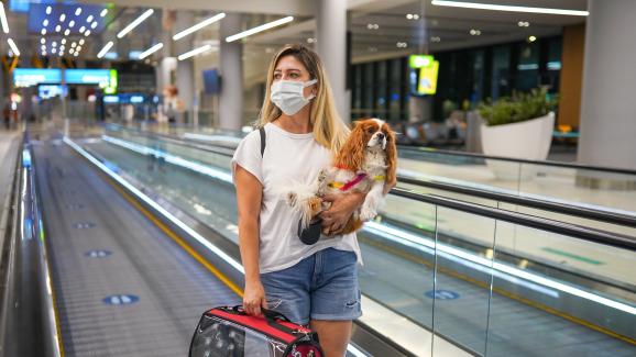 В самолет с куче – 6 съвета за комфортно пътуване