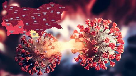 ковид карта