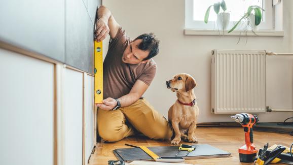 5 опасности за кучето по време на ремонт у дома