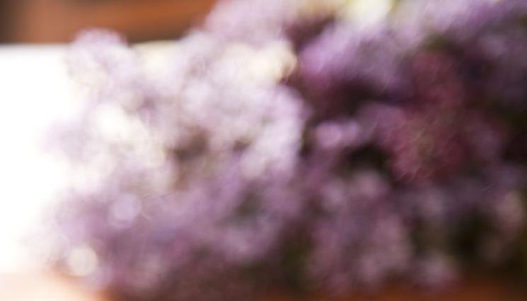 кулинар - В КРАК С ВРЕМЕТО: Няколко страхотни рецепти за Великия пост, който започна на 7 март и свършва на 23 април