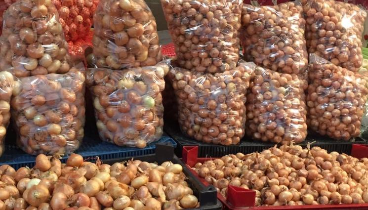 Агро - Агро Телеграф: Садим през ред чесън с арпаджик