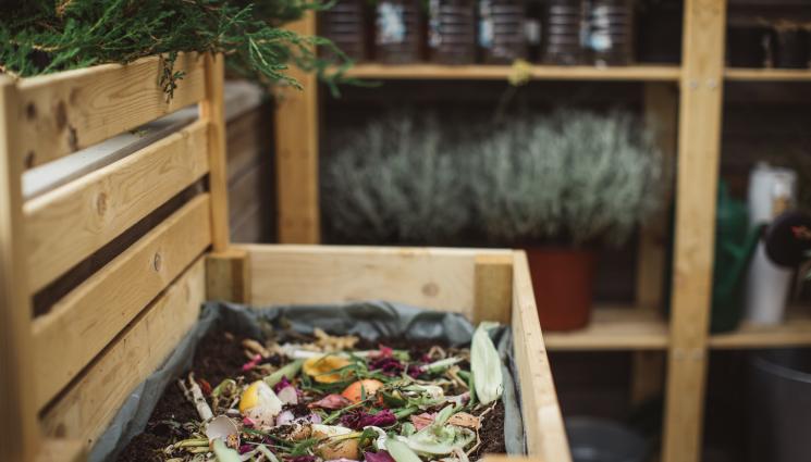 Агро - Агро Телеграф: Вместо изкусвени торове: Правим си компост в три кофи, подобрява състоянието на почвата. Костното брашно е богато на фосфор