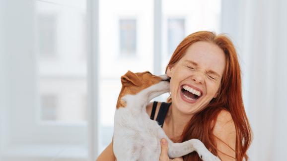 Защо кучето обича да ближе ушите ви