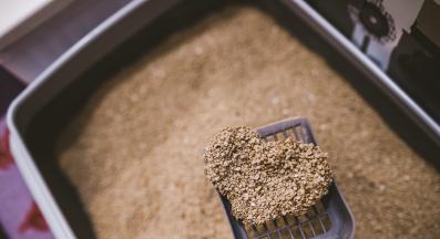 котешка тоалетна сърце