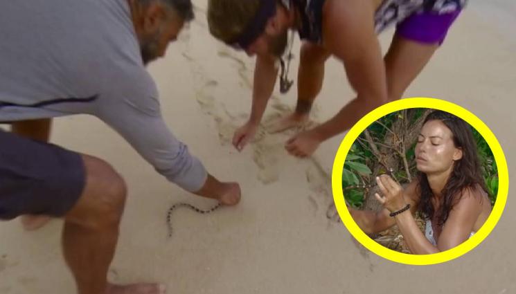 Сървайвър - Адска закуска в „Сървайвър“, участниците ръфат змия