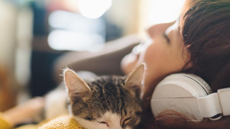  4-те зодии, които обожават котки 