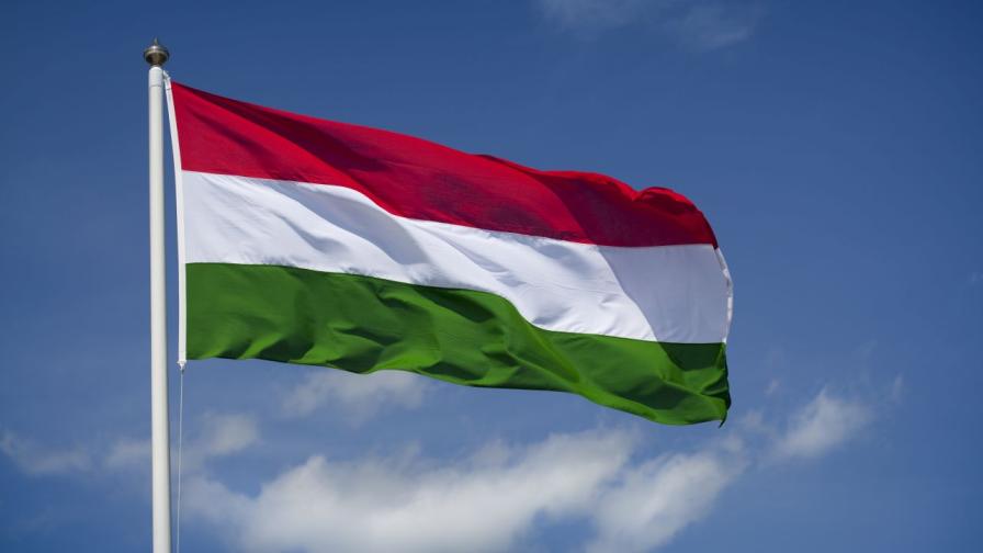 Унгария призова ЕС да последва примера на Грузия