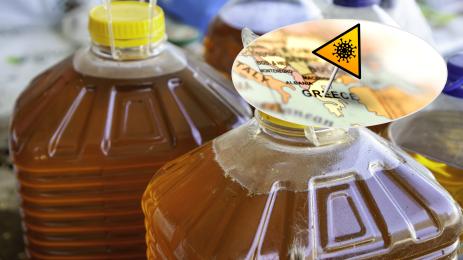 Олио гърция