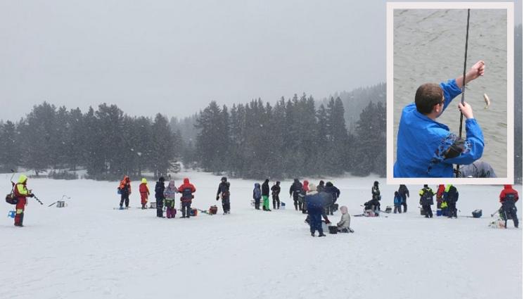 мормишки - И ЛОВЕЦ СЪМ, И РИБАР СЪМ: Волфрамови мормишки играят добре на дълбокото