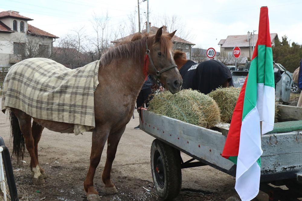 Тодоровден