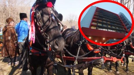 кушия пирогов