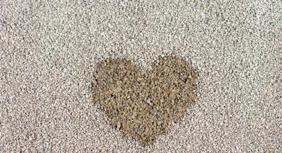 котешка постелка