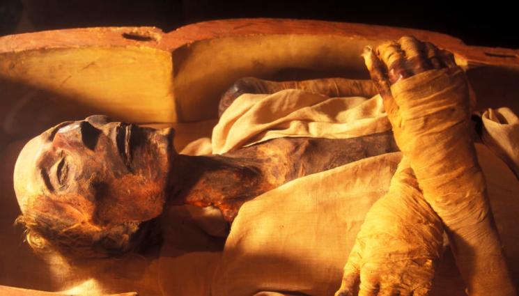 Астро - АСТРО: Д-р Балабанова заплита мистерията: Рамзес смъркал кока 27 века преди Колумб