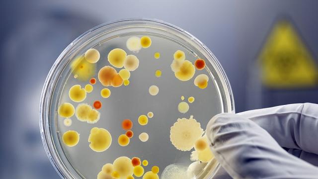 Учени откриха антибиотик, който щади добрите бактерии