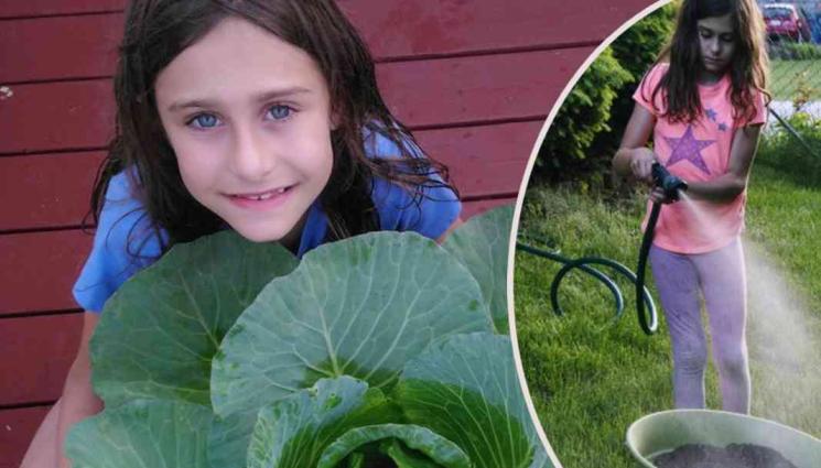 Мия - Българче отгледа най-голямата зелка в Чикаго, спечели $1000 долара, заделя ги за колеж