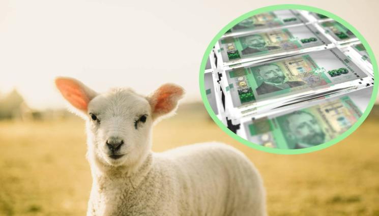 агне - Броим три стотака за агне за Великден